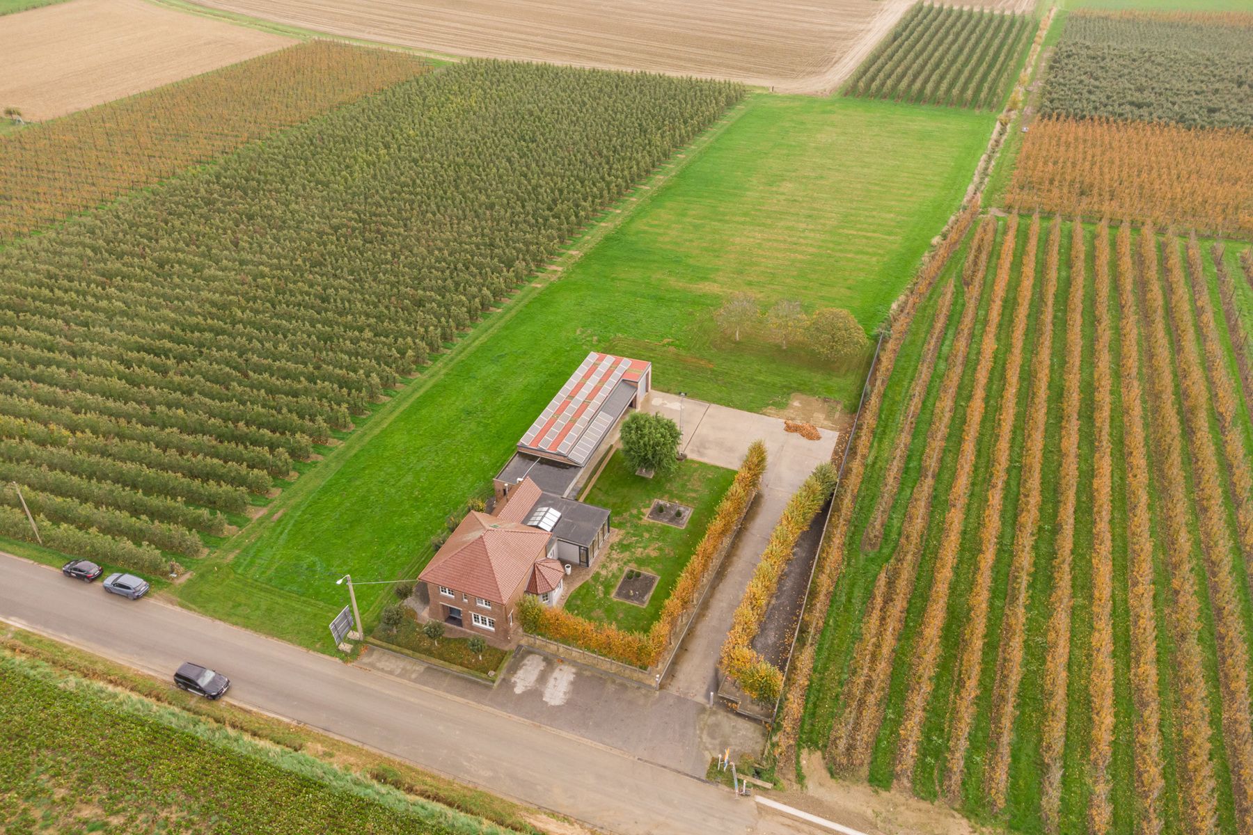 Huis te koop foto 43