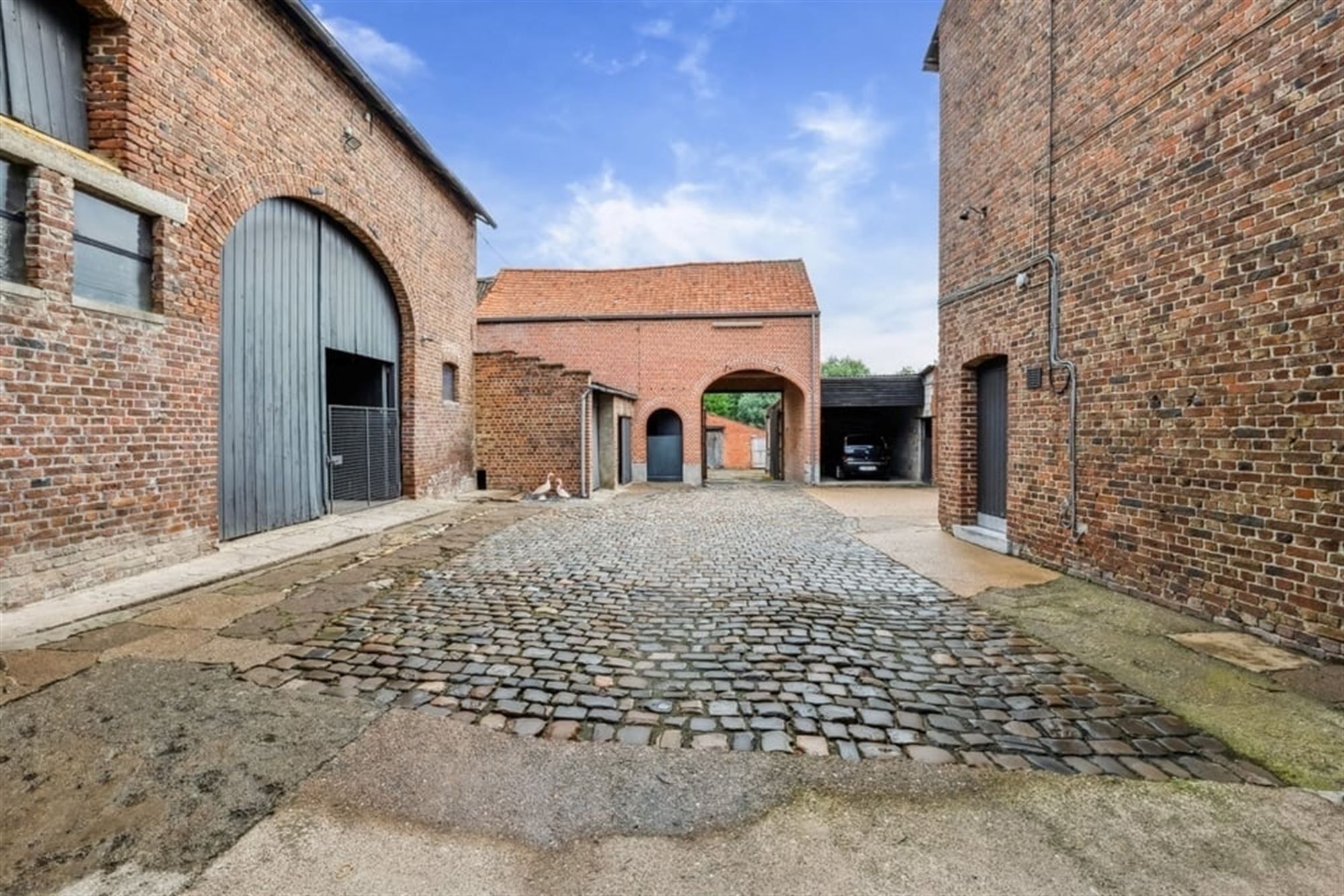 CHARMANTE HOEVE OP EEN PERCEEL VAN 14A IN HEERS  foto 4