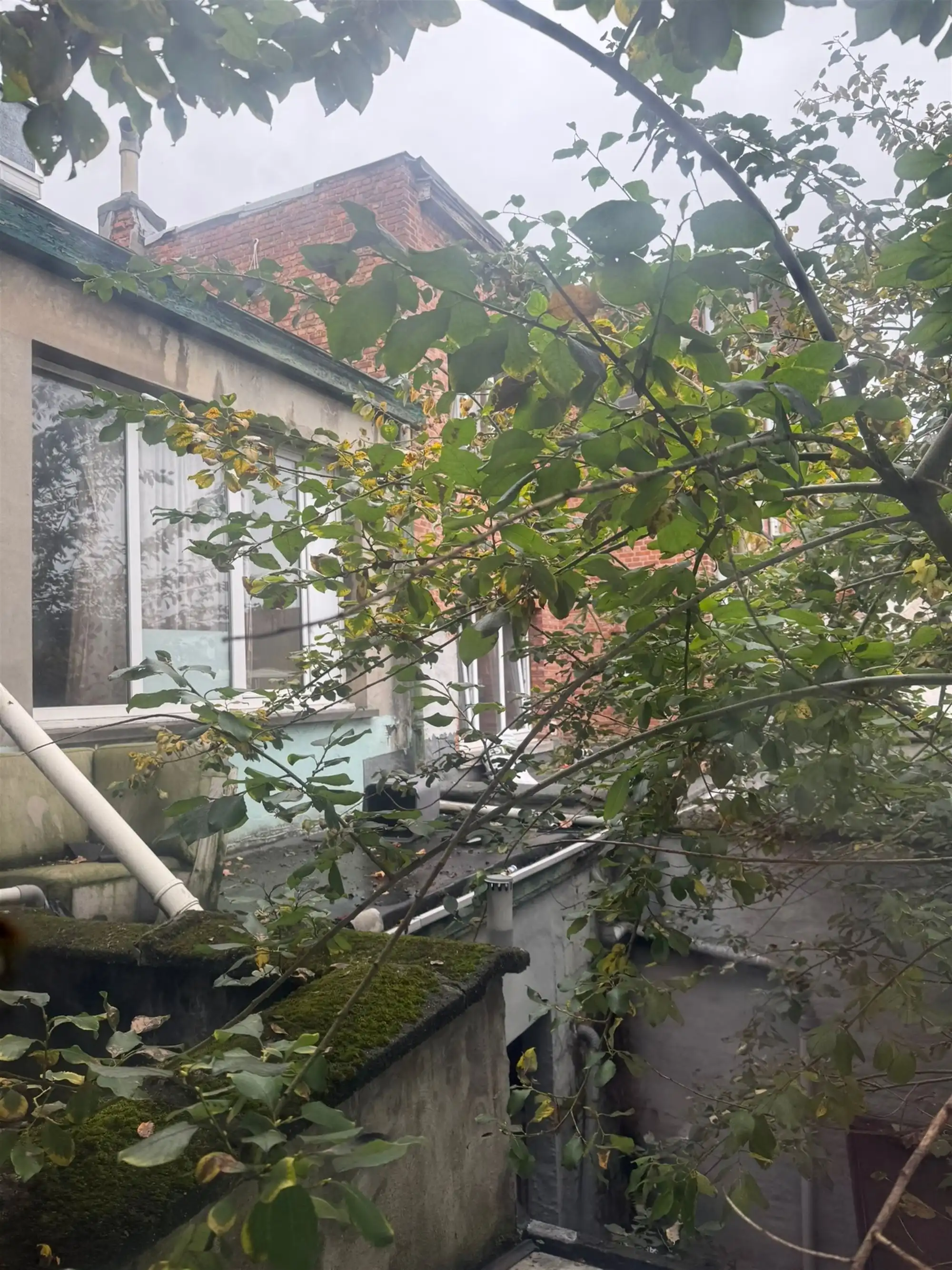 Magazijn of atelier of bureaurenovatieproject foto 4