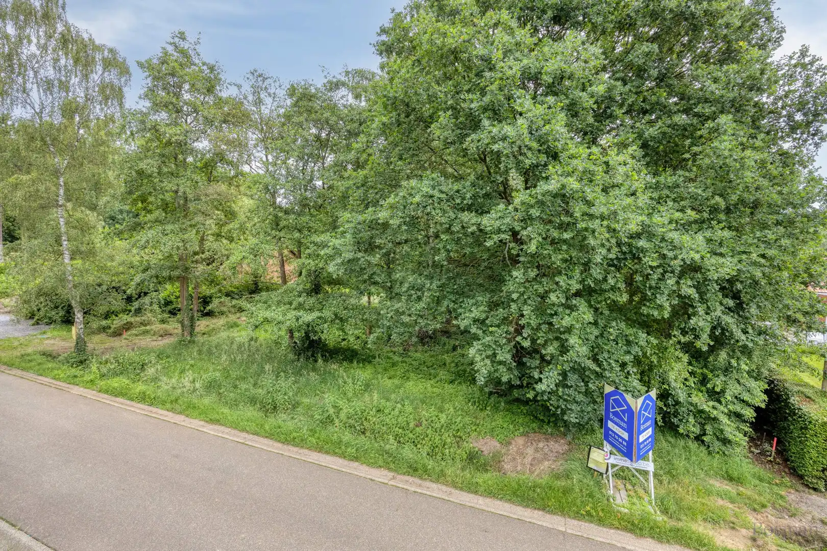 Bouwgrond op 16a 76ca te koop in Tessenderlo-Ham foto 4