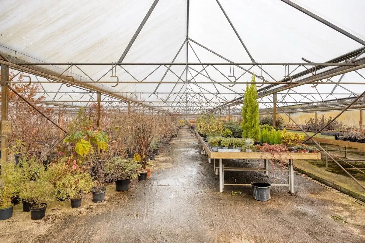 Tuinbouwcentrum met ruime woning op een perceel van 4,26 hectare foto 11