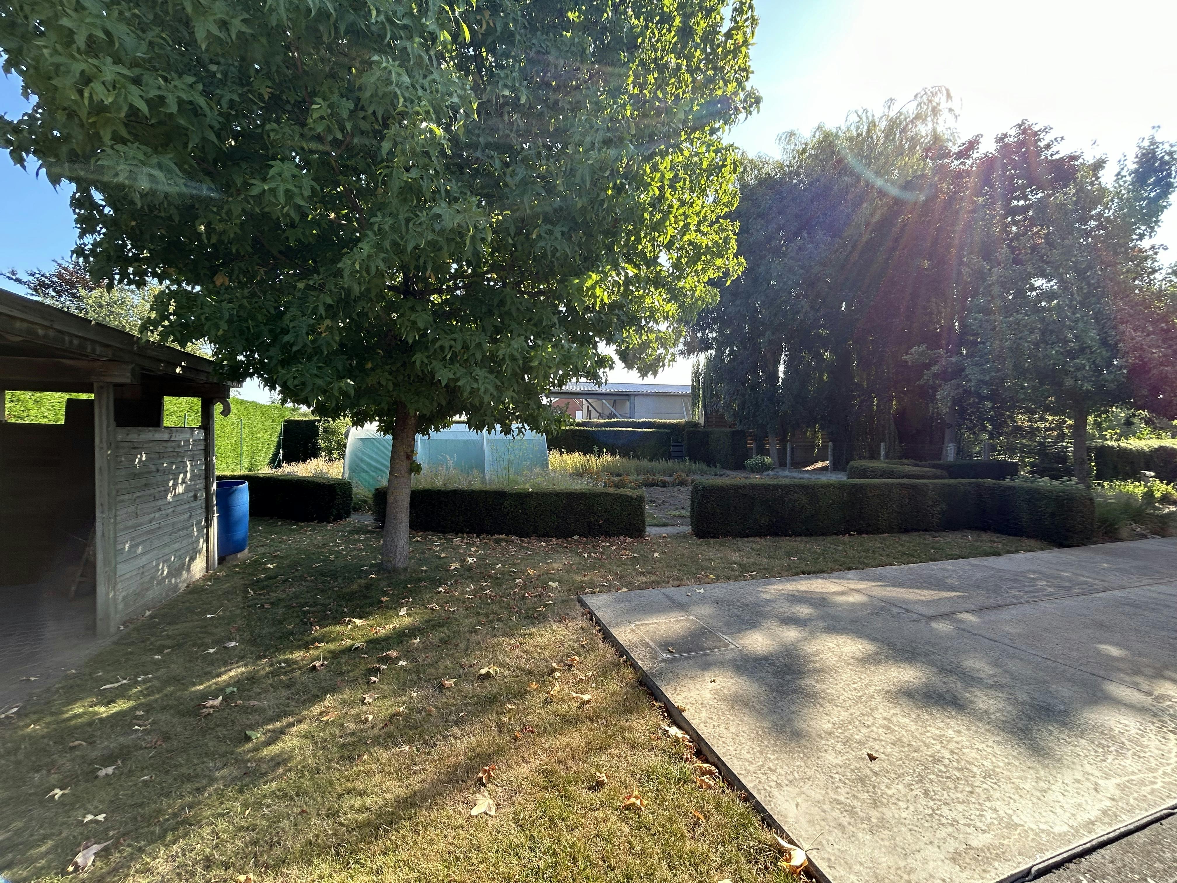 Bouwgrond van 554 m² met uitweg, garage en carport foto 5