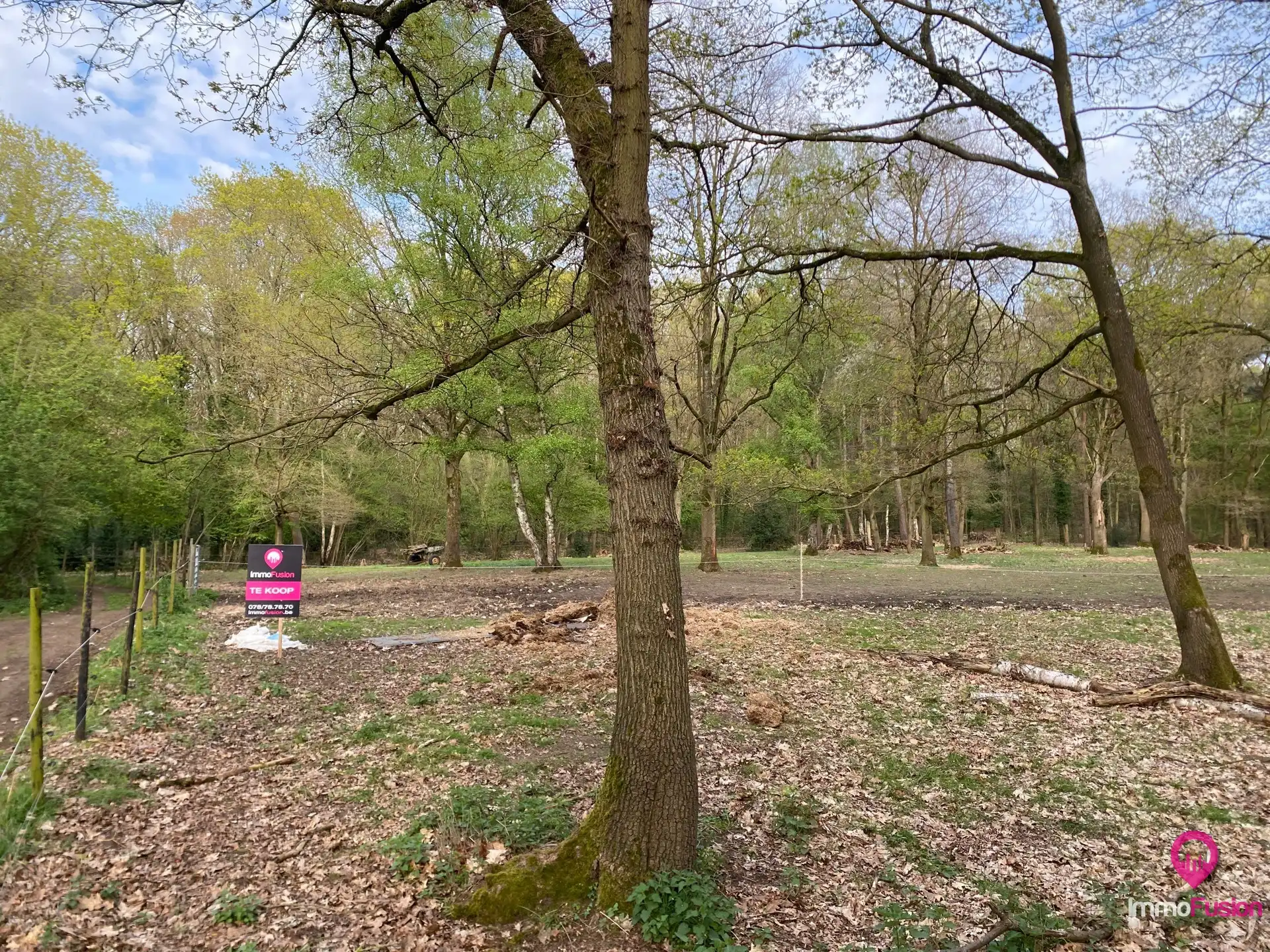 Landelijke weide voor dieren- en natuurliefhebbers! foto 4