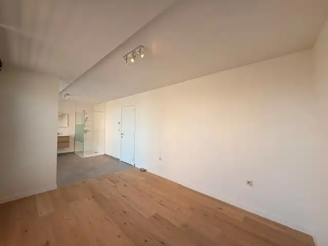 Luxe duplexappartement te huur in het hart van Maaseik, met lift, 2 slaapkamers en 2 terrassen.  foto 20