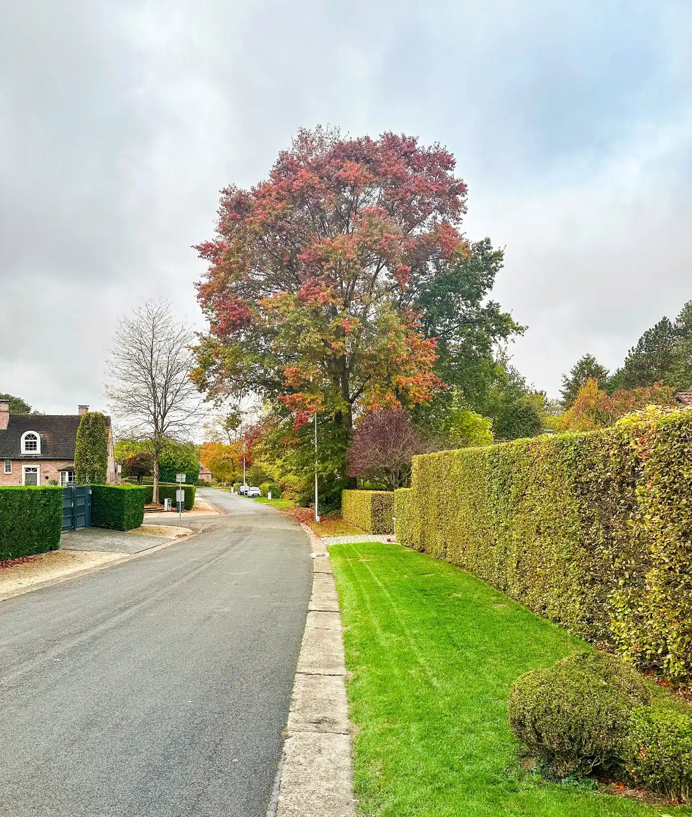 Prachtig perceel op unieke locatie! foto 3