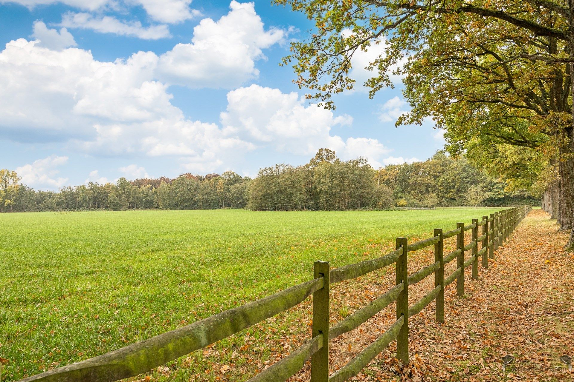 domein van ca.22 ha met 2 woningen foto 21