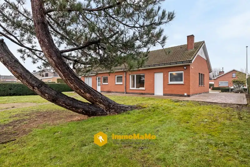 LANDELIJKE WONING MET 3 SLAAPKAMERS IN WACHTEBEKE TE KOOP foto 13