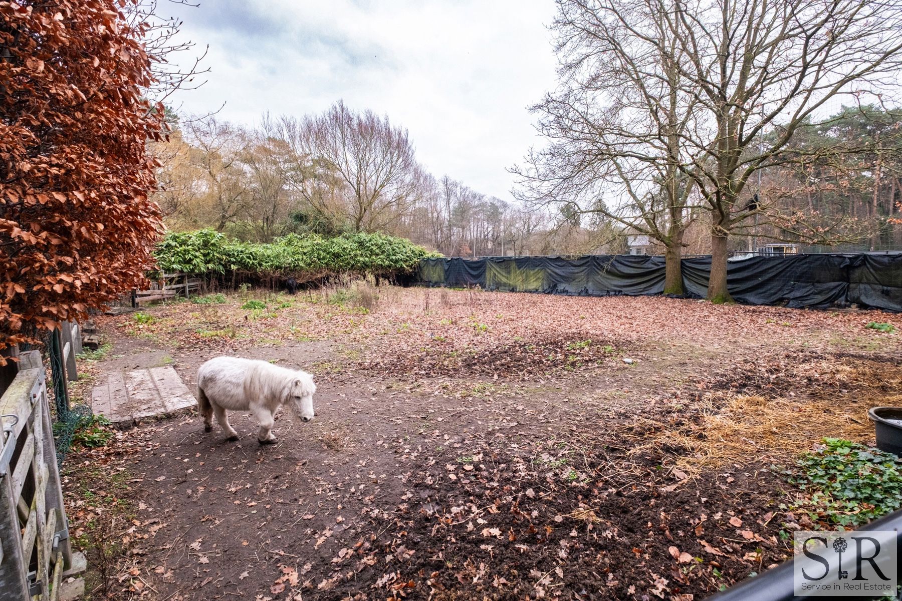 Boerderij te koop foto 26