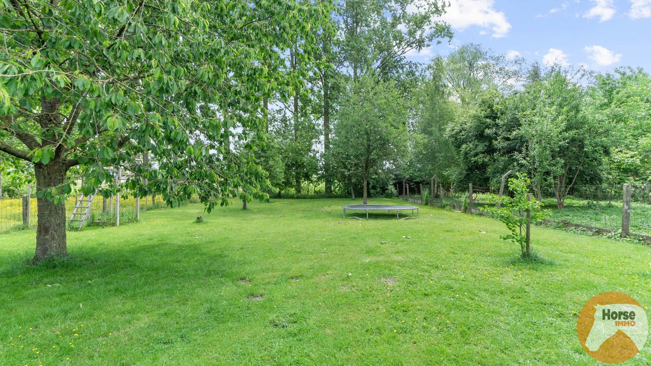 HERNE - Gerenoveerde woning met hangar op +-1ha foto 18