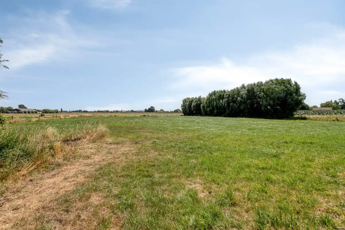 Te renoveren hoeve met landbouwgrond te koop in Wervik!  foto 15