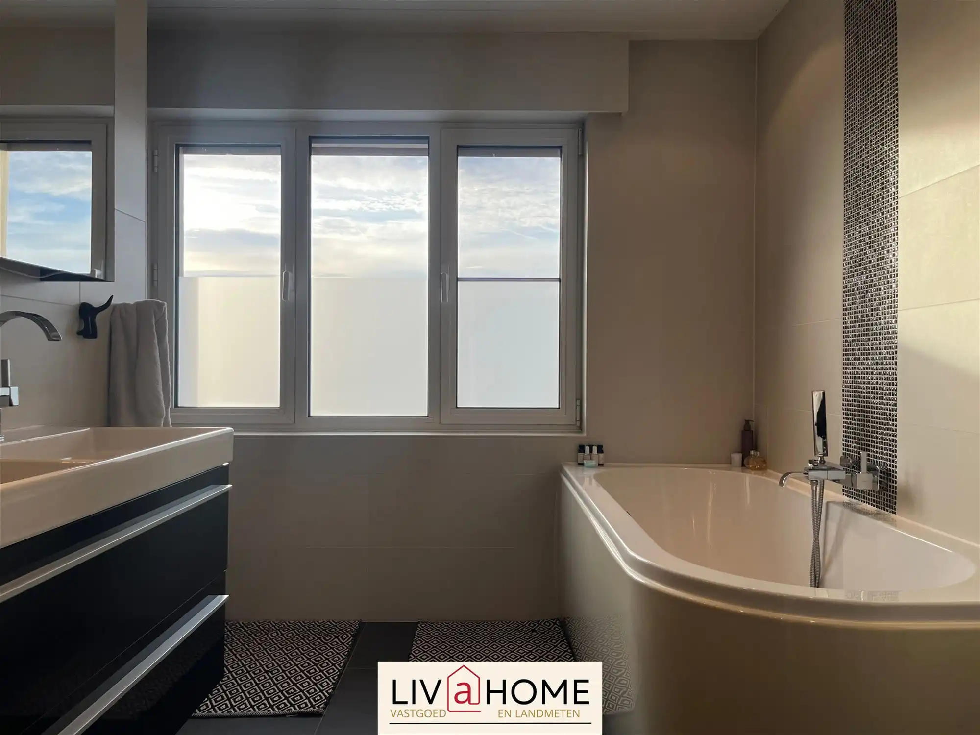 RUIME WONING - BORGERSTEINLEI foto 12