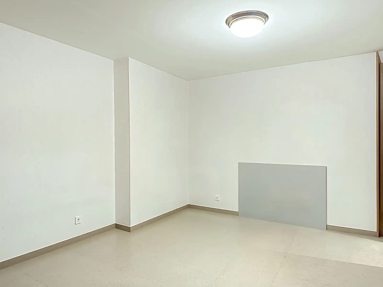 Te renoveren woning met groengebied in de achtertuin foto 5
