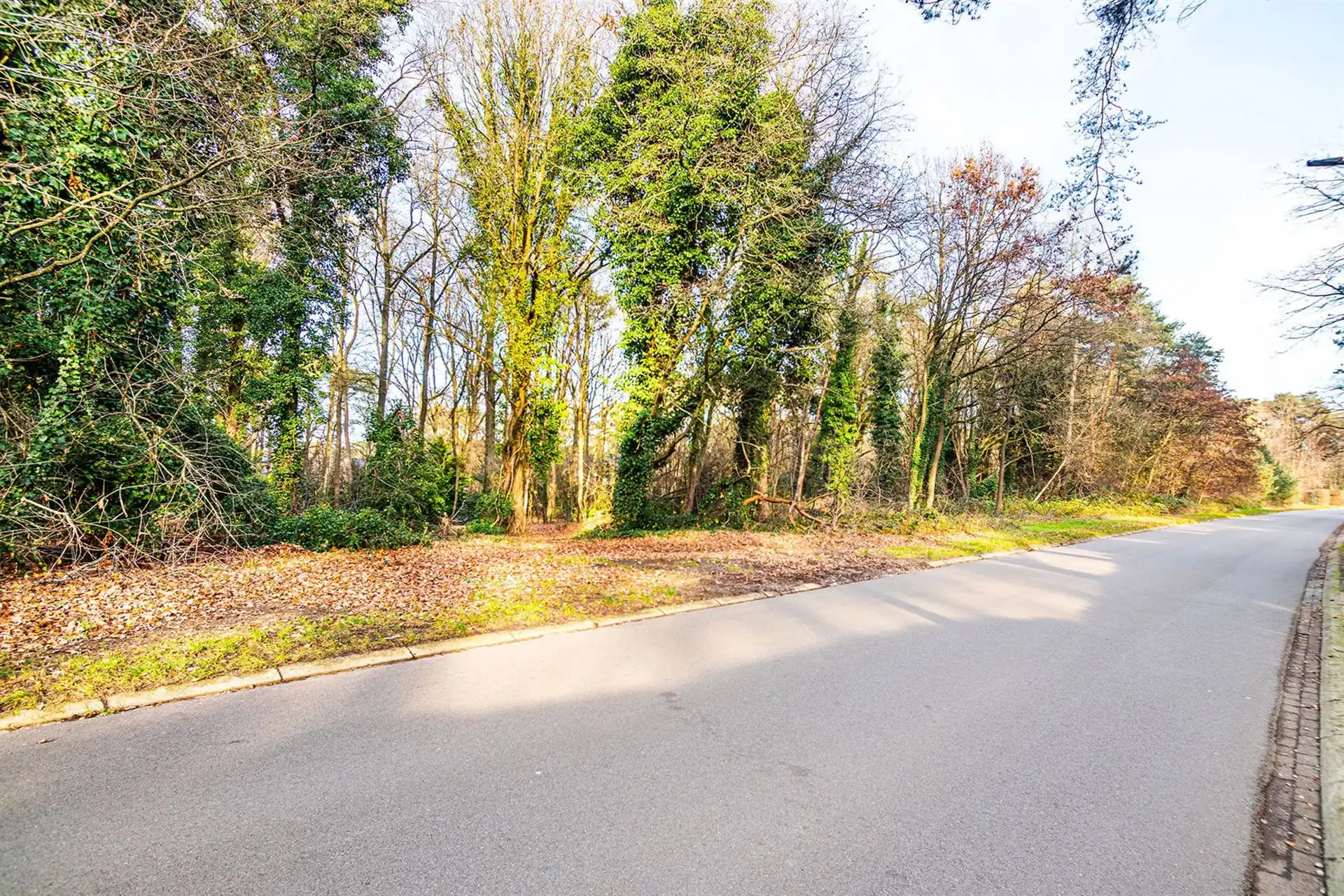 Exclusieve bouwgrond van 4.370 m² in “Golf & Meer”-domein foto 25
