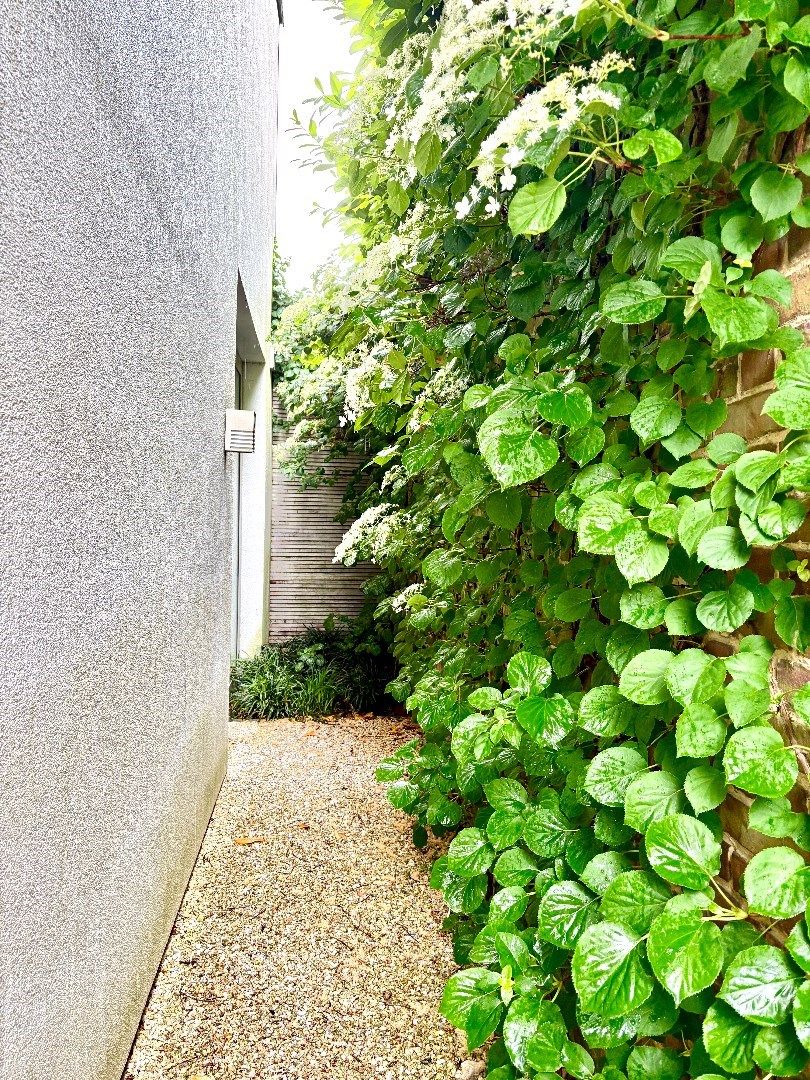 Hoogwaardig gerenoveerde woning in het centrum van Kuurne met garage. foto 9