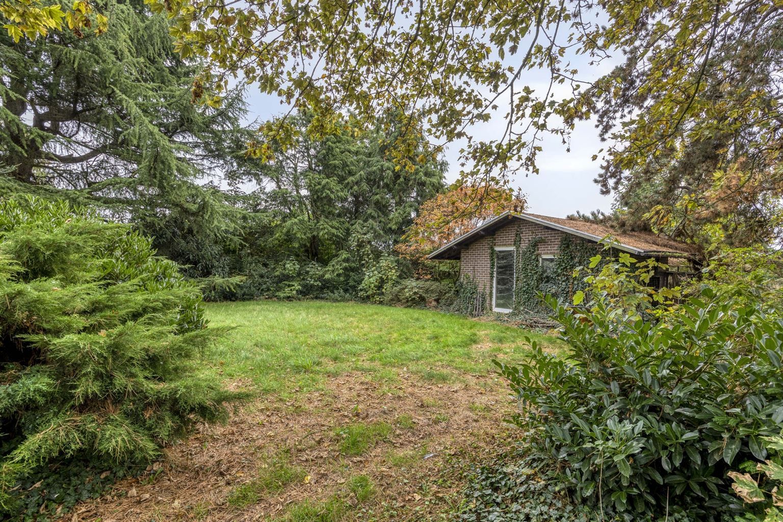 Vrijstaande woning in 70s stijl op een uniek perceel van 15a93ca met 5 slaapkamers, inpandige garage en riante tuin, gelegen op een rustige toplocatie nabij het centrum van Maaseik. foto 38