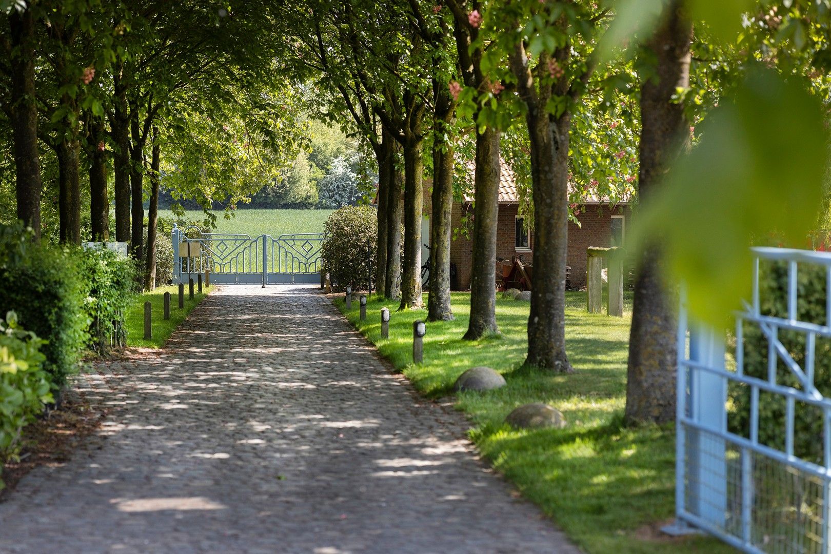 Gerenoveerde hoeve met 5 vakantiewoningen. foto 3
