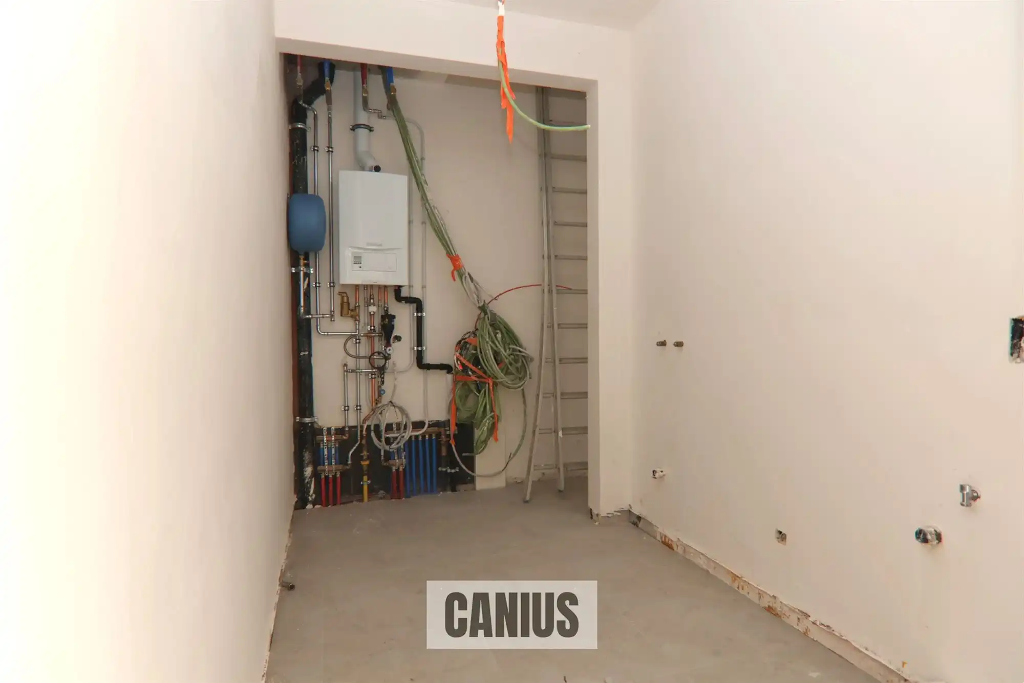 WONEN IN DE PAREL VAN HASPENGOUW foto 6