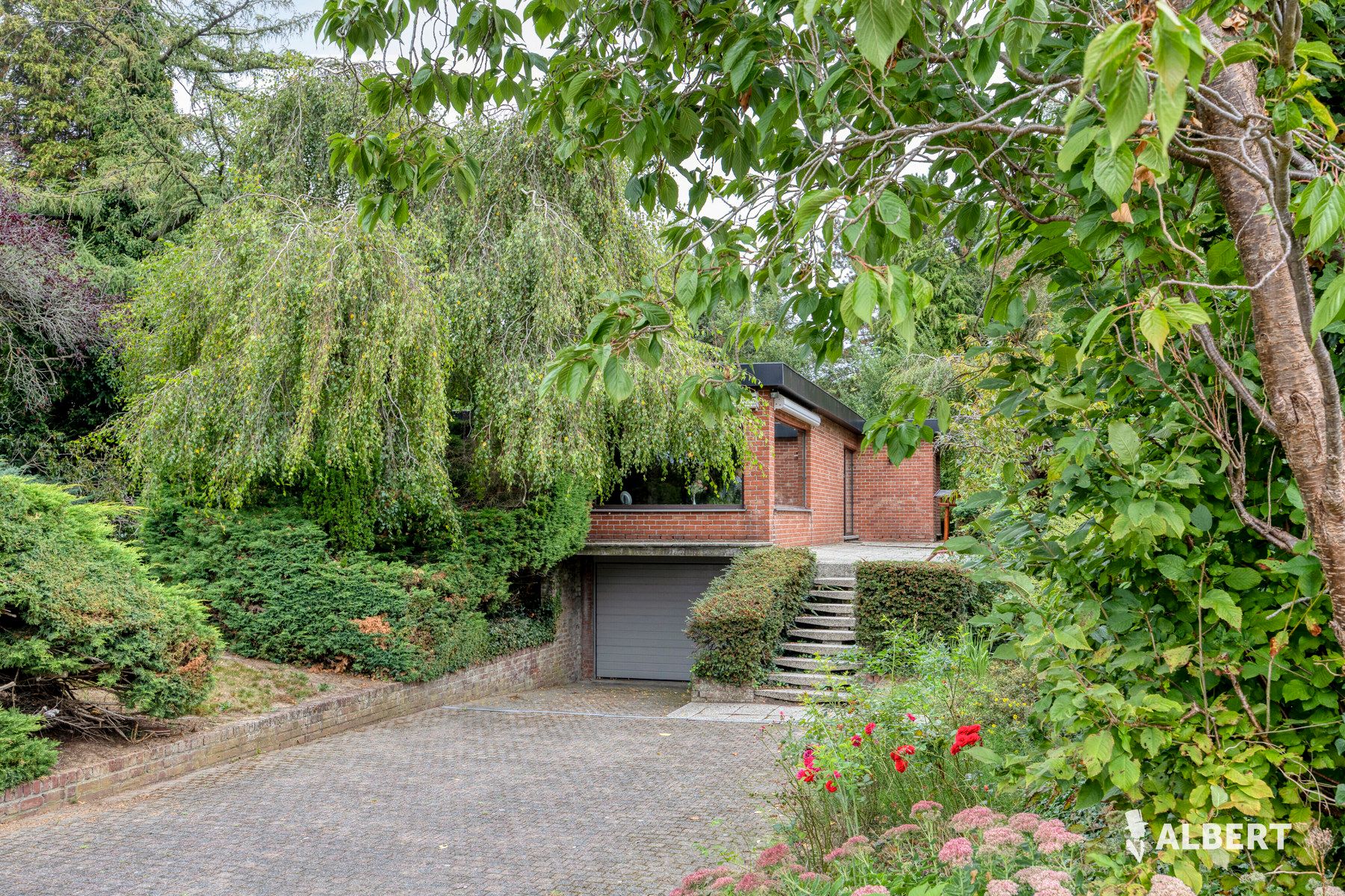 ()=>{if(producerUpdateValueVersion(node),producerAccessed(node),node.value===ERRORED)throw node.error;return node.value} Hollestraat 12 - 9506 Geraardsbergen