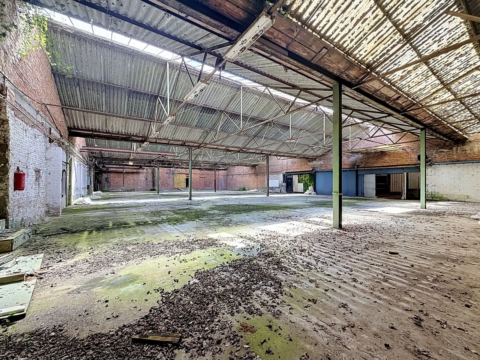 Unieke projectgrond met potentieel in Zichem foto 12