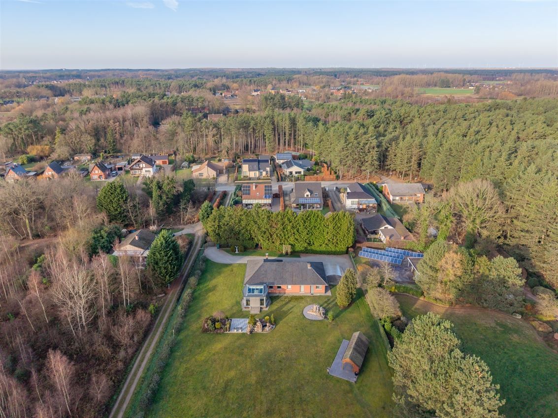 verborgen parel in het groen foto 59