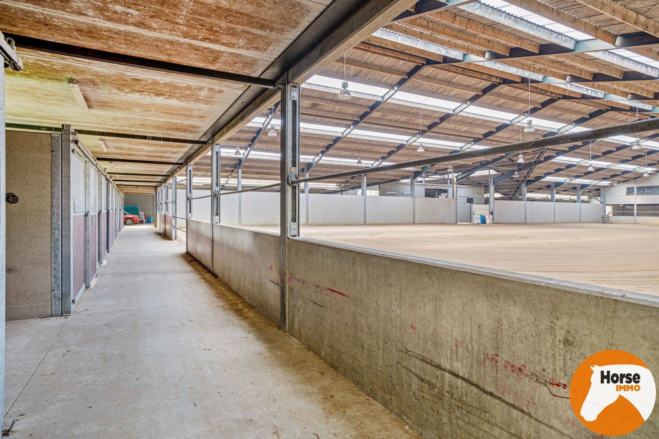 JABBEKE - Luxueuze paardenaccommodatie met woning foto 8