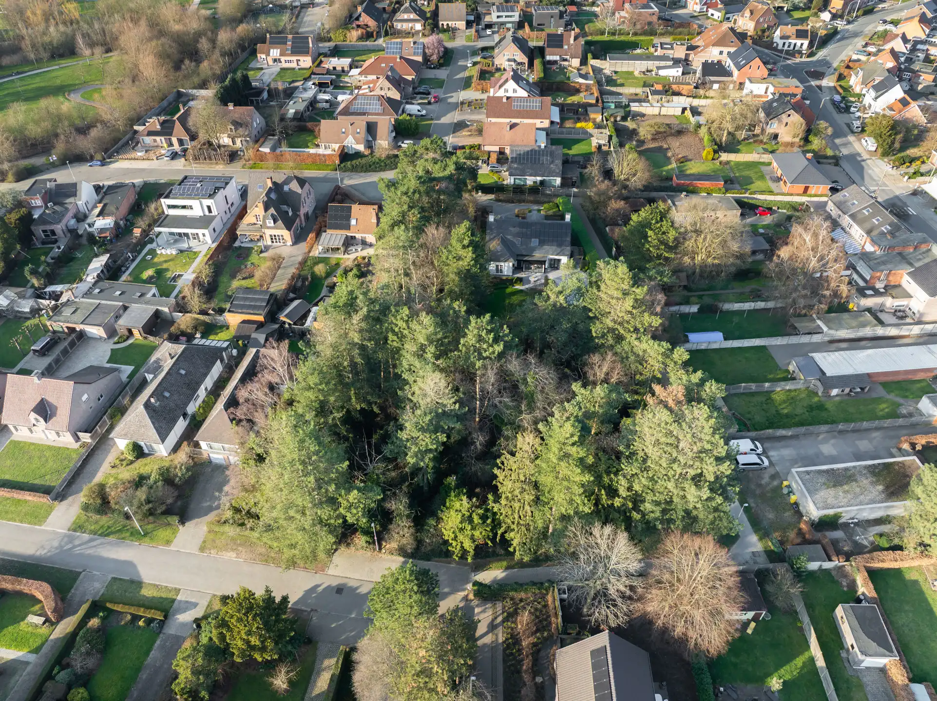 Prachtige bouwgrond van 735m² in een doodlopende straat.  foto 5
