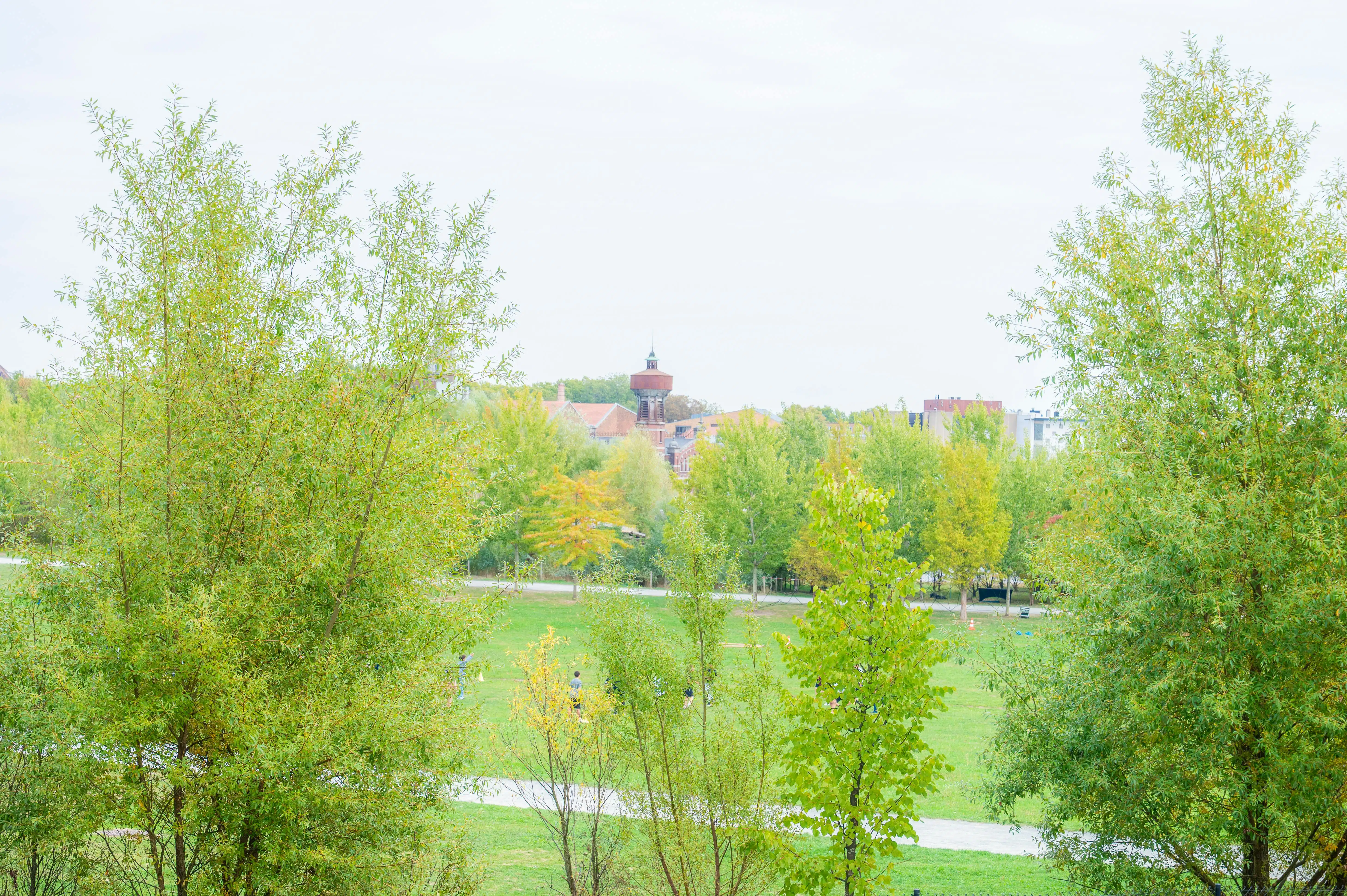 Tour & Taxis Park Lane Quincy foto 6