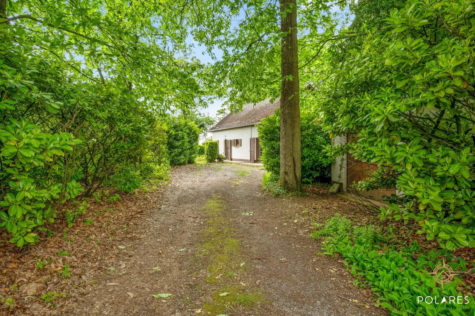 Charmante vrijstaande woning midden in het groen – unieke ligging op 27a 64ca foto 2