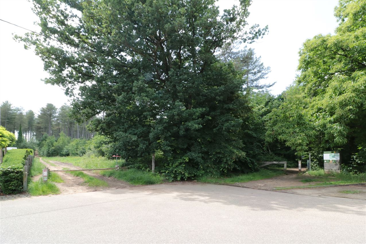 Toplocatie, op bijna 11a tegen natuurgebied foto 7