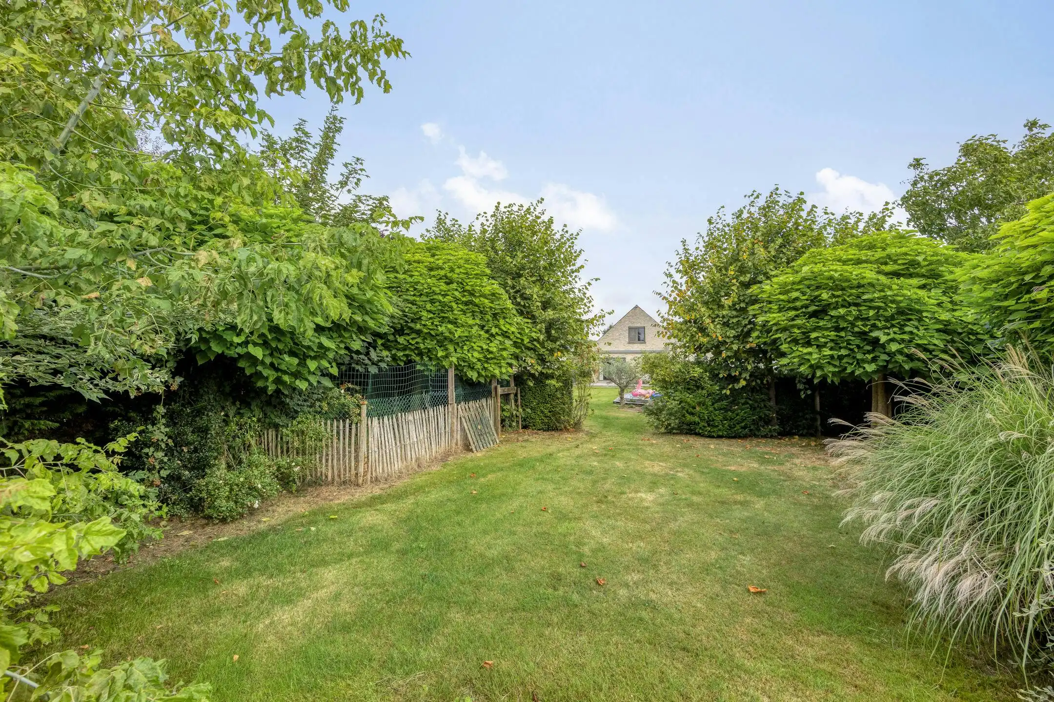 Huis met 4 slaapkamers, ruime tuin en veel opties in Bellem foto 28
