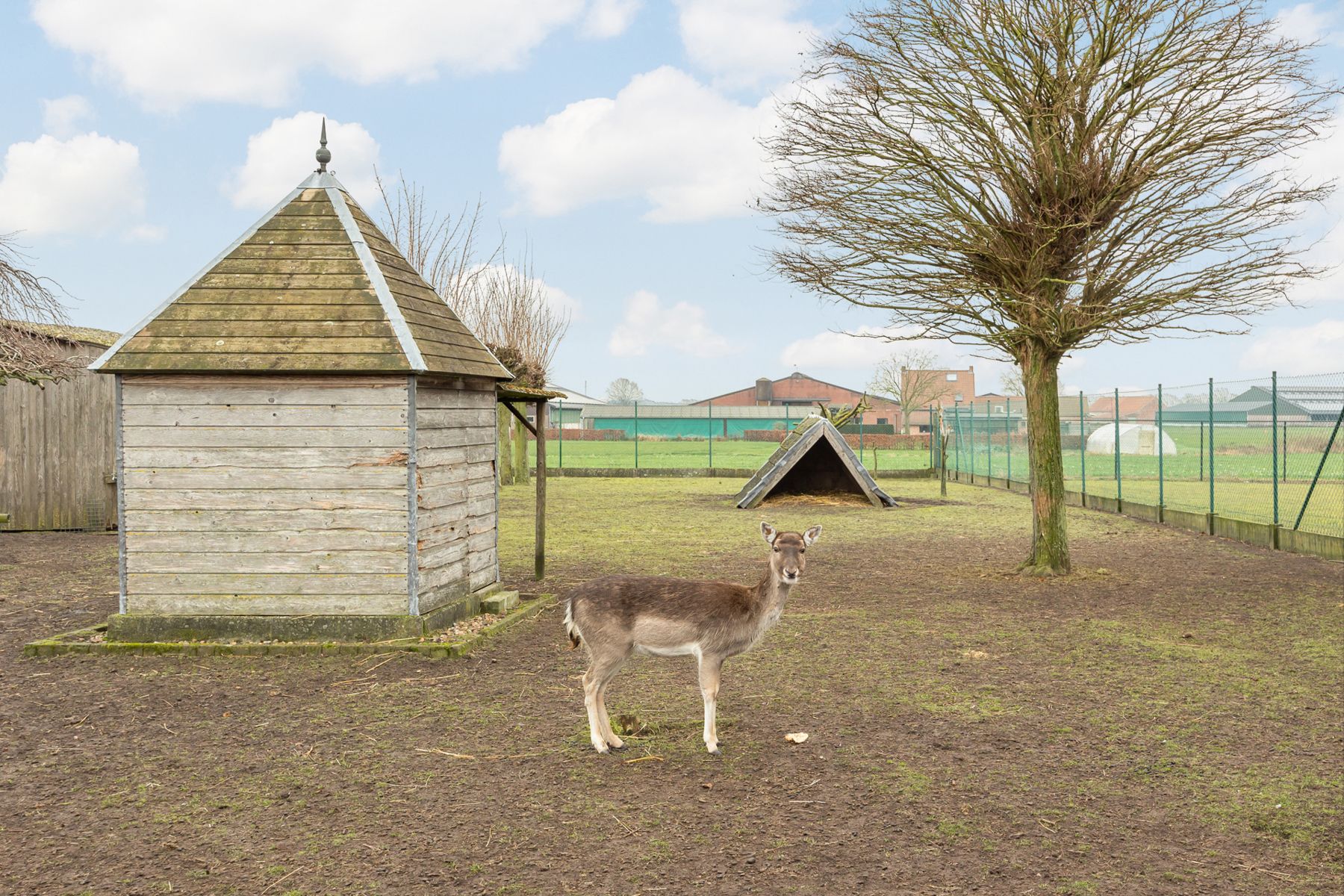 Gedeeltelijk gerenoveerde laagbouwwoning op perceel van ca. 1.516m². foto 20