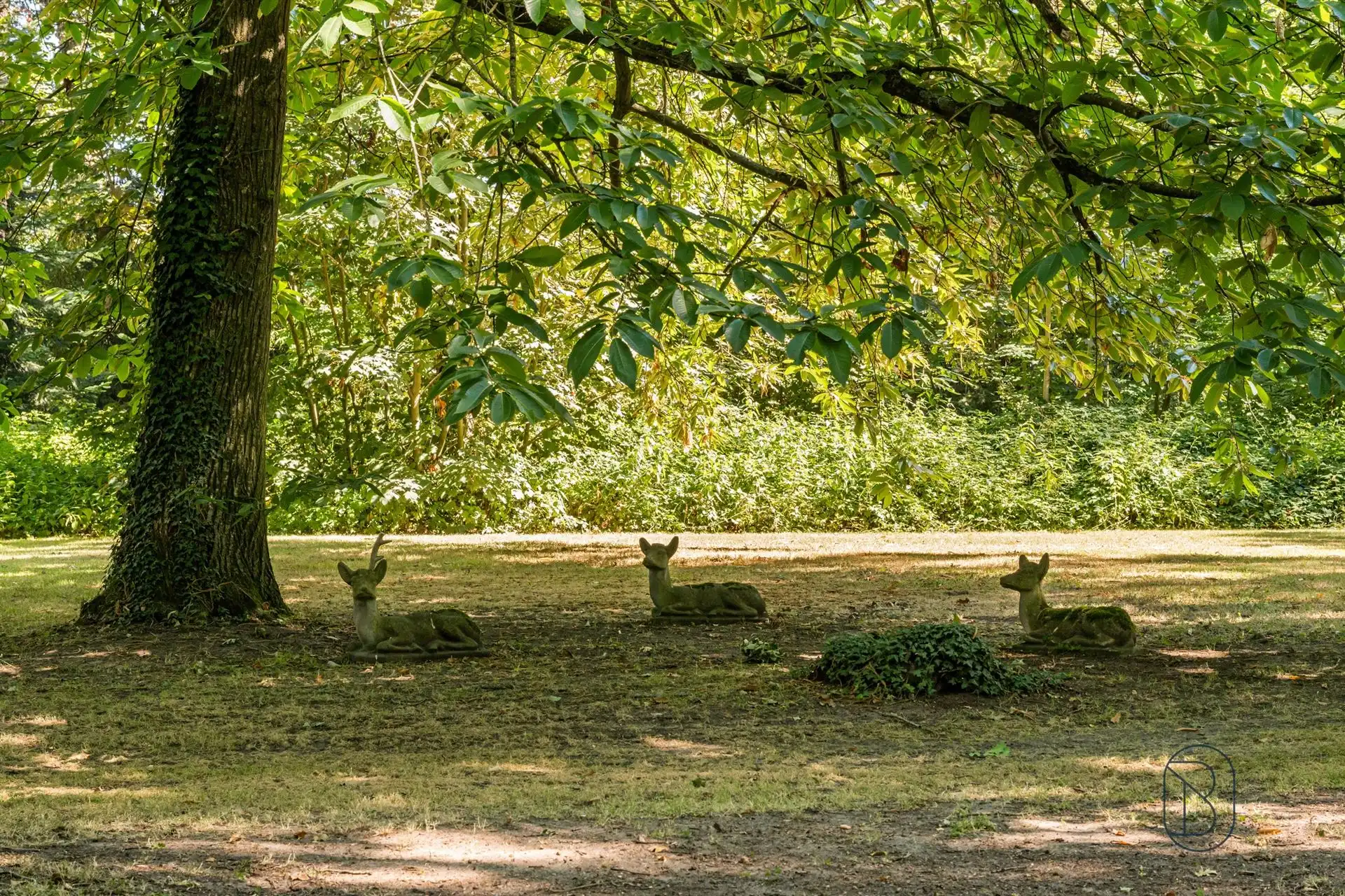 Prachtig kasteel met koetshuis op meer dan 8,7 hectare! foto 6