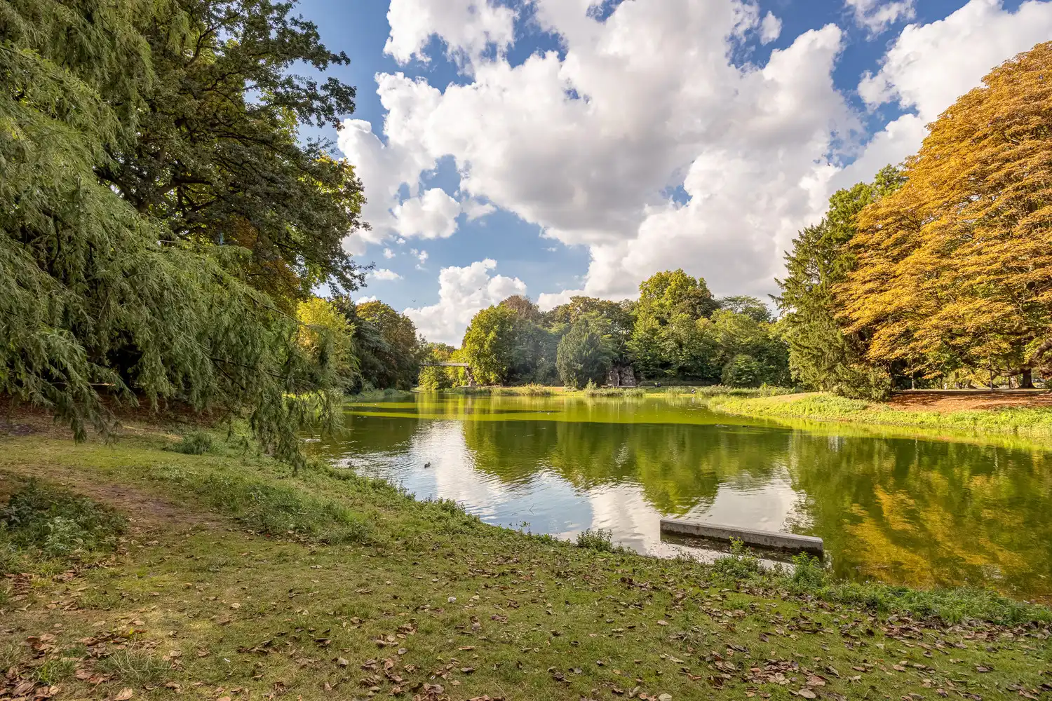 IN OPTIE: kevin@wellimmo.net voor meer info! Deels te renoveren studio (44m²) op toplocatie aan het Stadspark met gunstig EPC (B)! foto 2