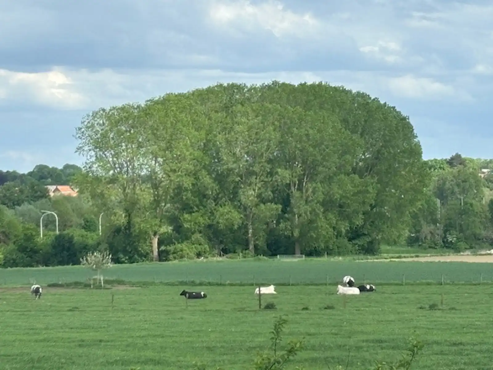 Prachtige woning met naastgelegen bouwgrond foto 29