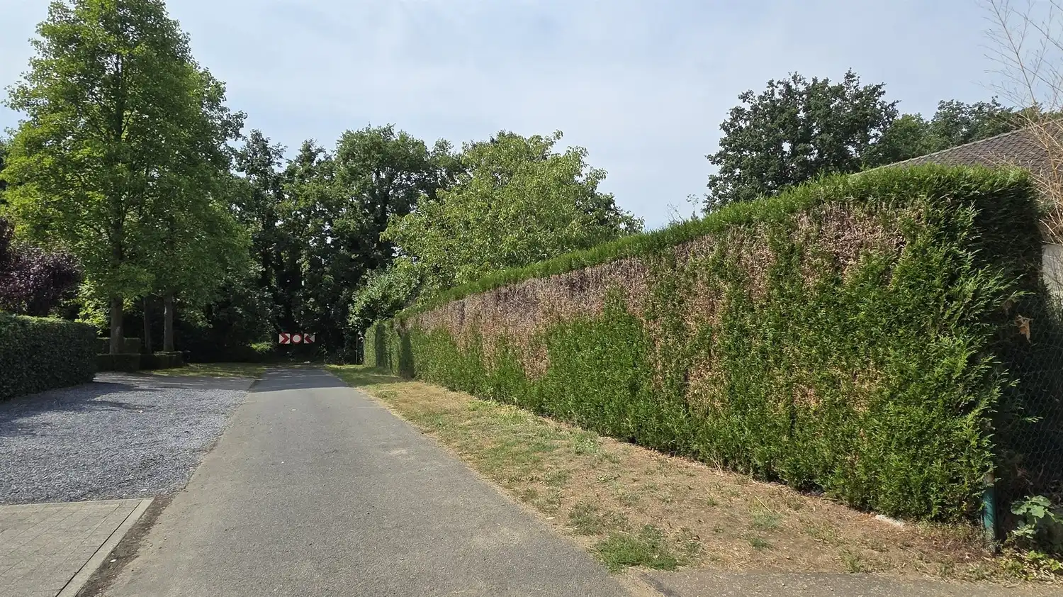 Bouwgrond voor open bebouwing met een oppervlakte van 7a 64ca in Zonhoven foto 4