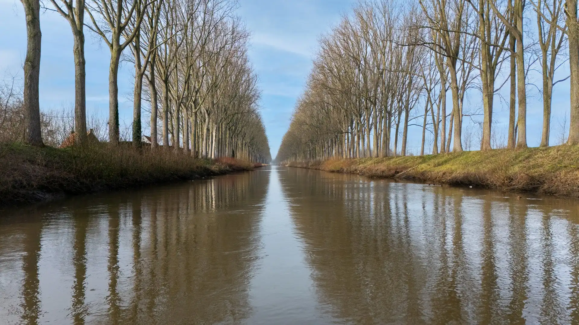 Charmante woning met een zalige tuin te Moerkerke foto 24