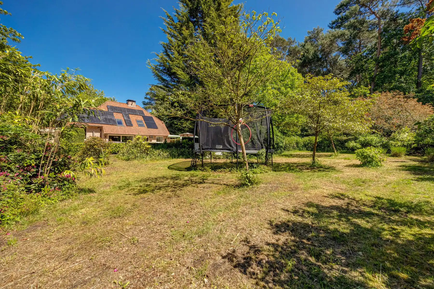 Gerenoveerde villa met 6 slpk, praktijk, zwembad op 1.867m² foto 33