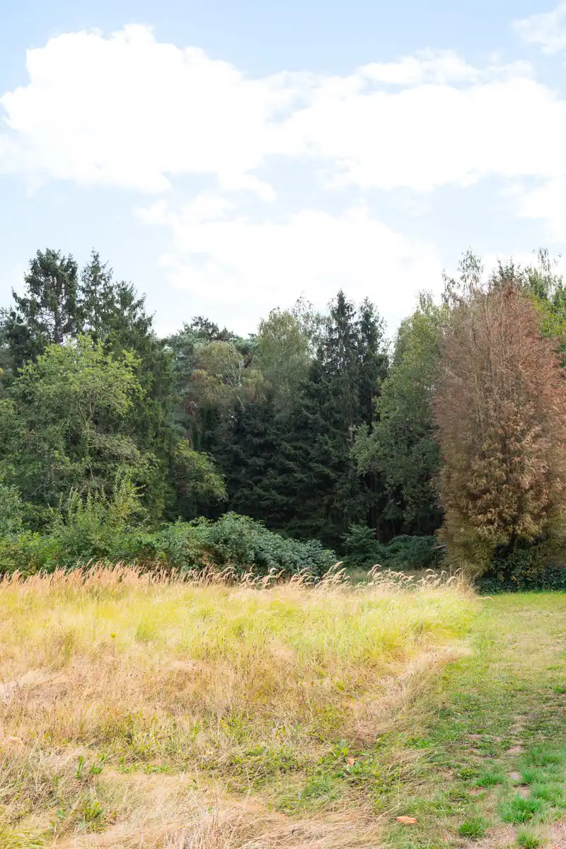 Prachtig groen recreatiedomein van maar liefst 50are! foto 5