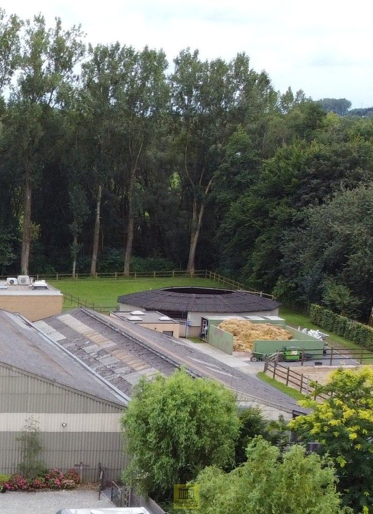 Uitzonderlijk pand - manege met gastenverblijf foto 38