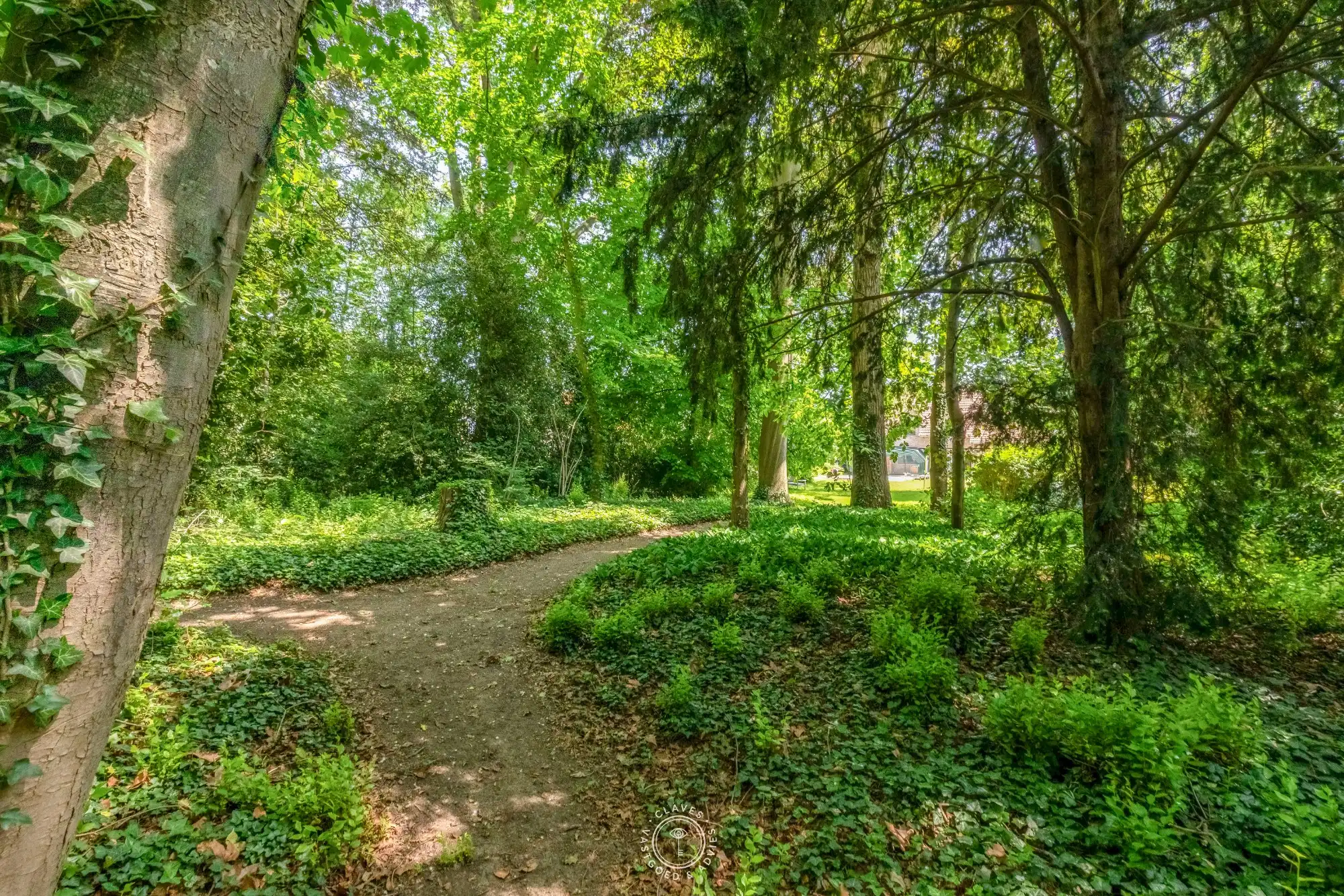 Welgelegen villa met praktijk en wonderlijke tuin foto 3