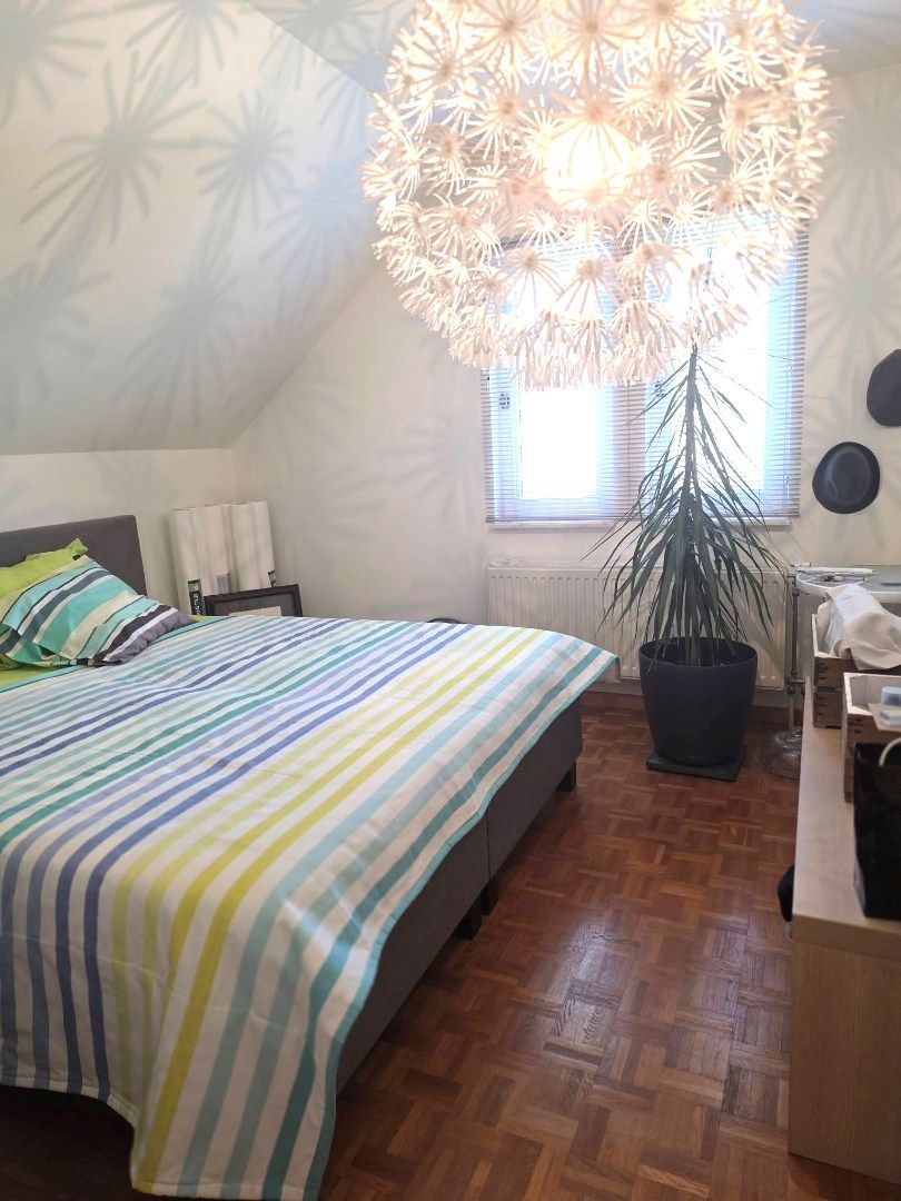 Niet enkel in een oester kan u een pareltje vinden... foto 18