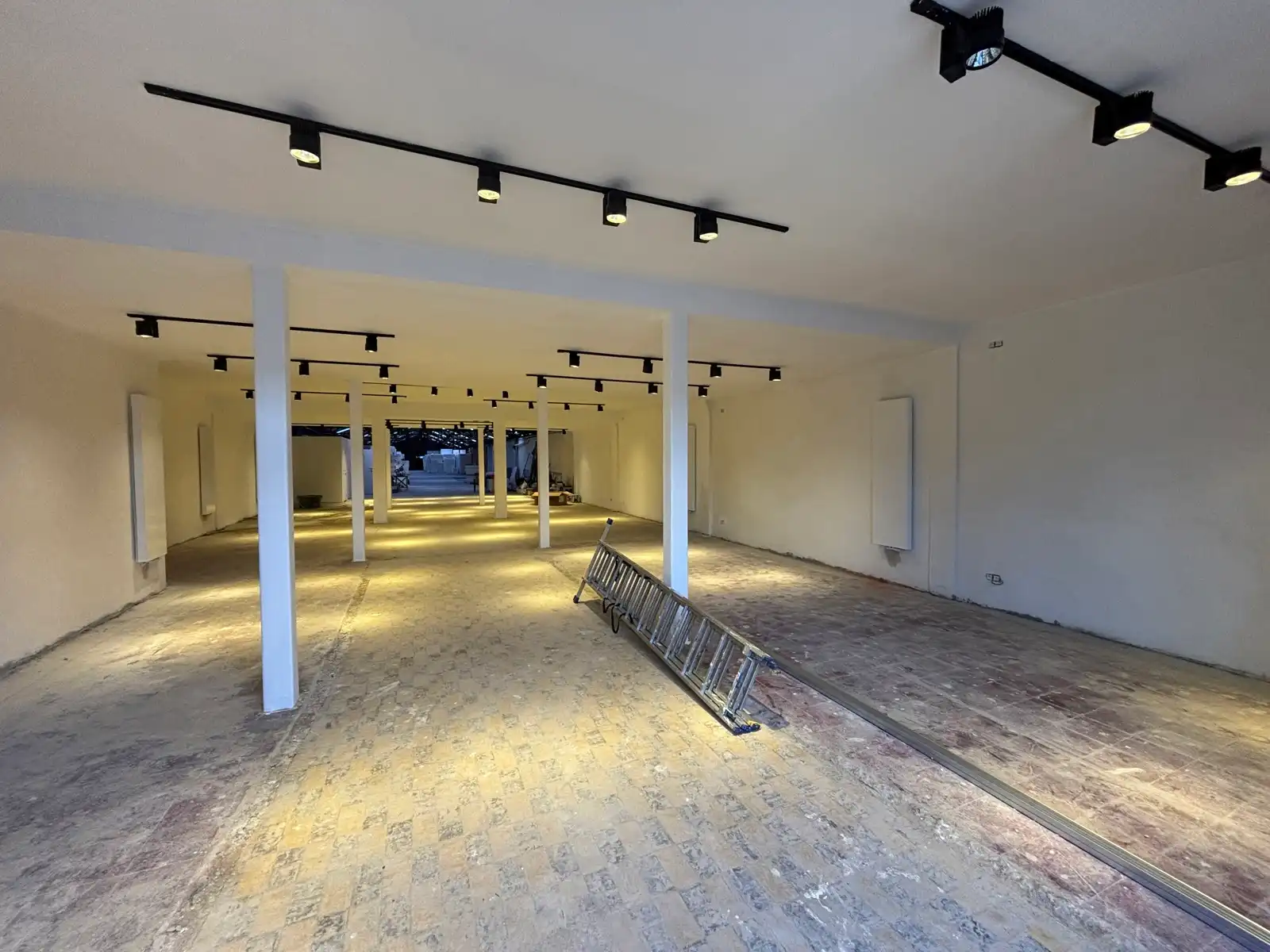 Handelsgelijkvloers te huur tegenover Carrefour Borsbeek foto 3