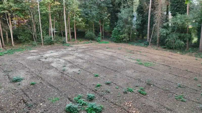 Exclusieve Bouwgrond Waasmunster foto 3