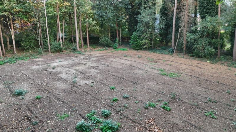 Exclusieve Bouwgrond Waasmunster foto 3