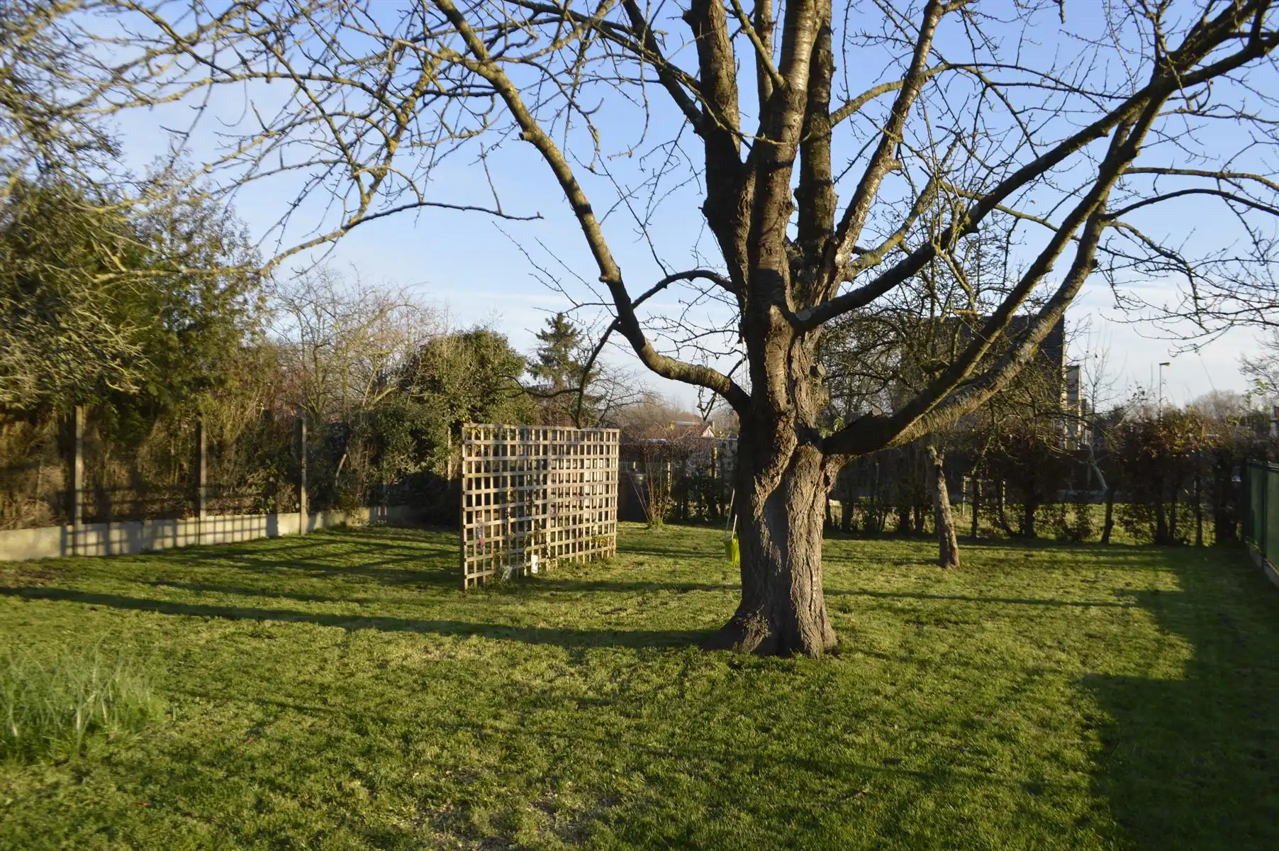 Erpe-Mere - Charmante HoB met mooie tuin. foto 18