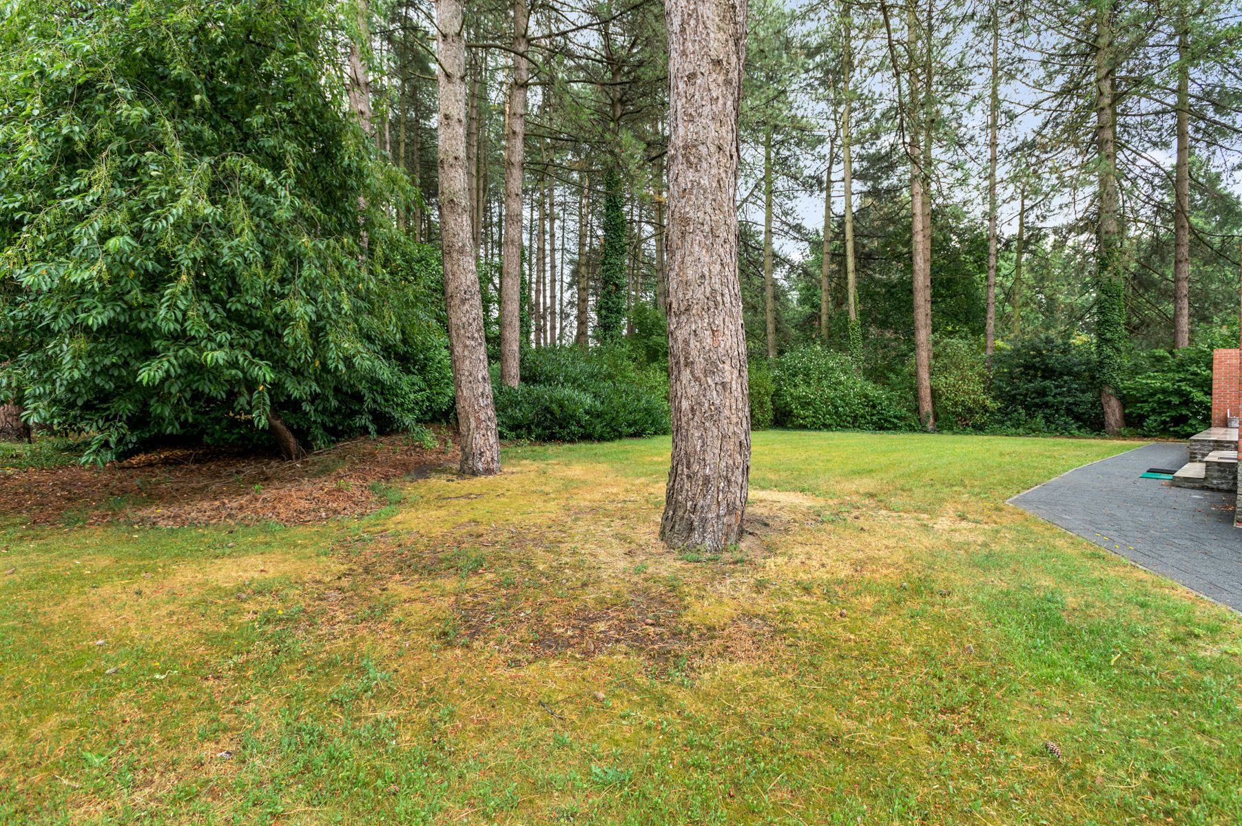 Gelijkvloerse villa met 3 slks op 2800m2 grond foto 25