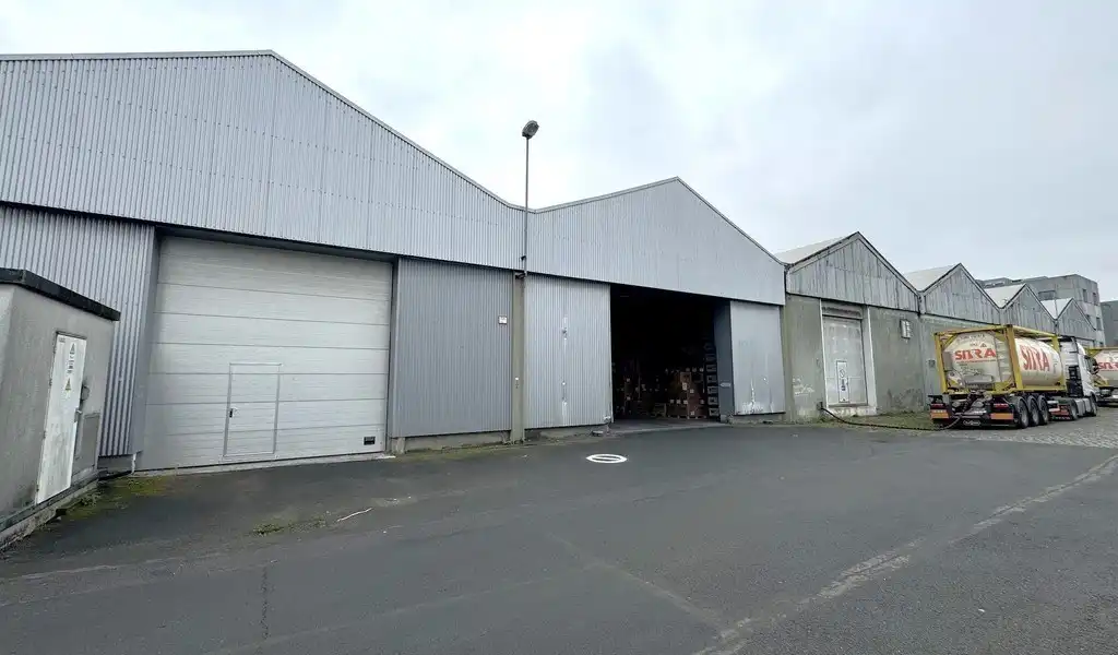 Magazijn te huur aan Houtdok in haven Antwerpen foto 12