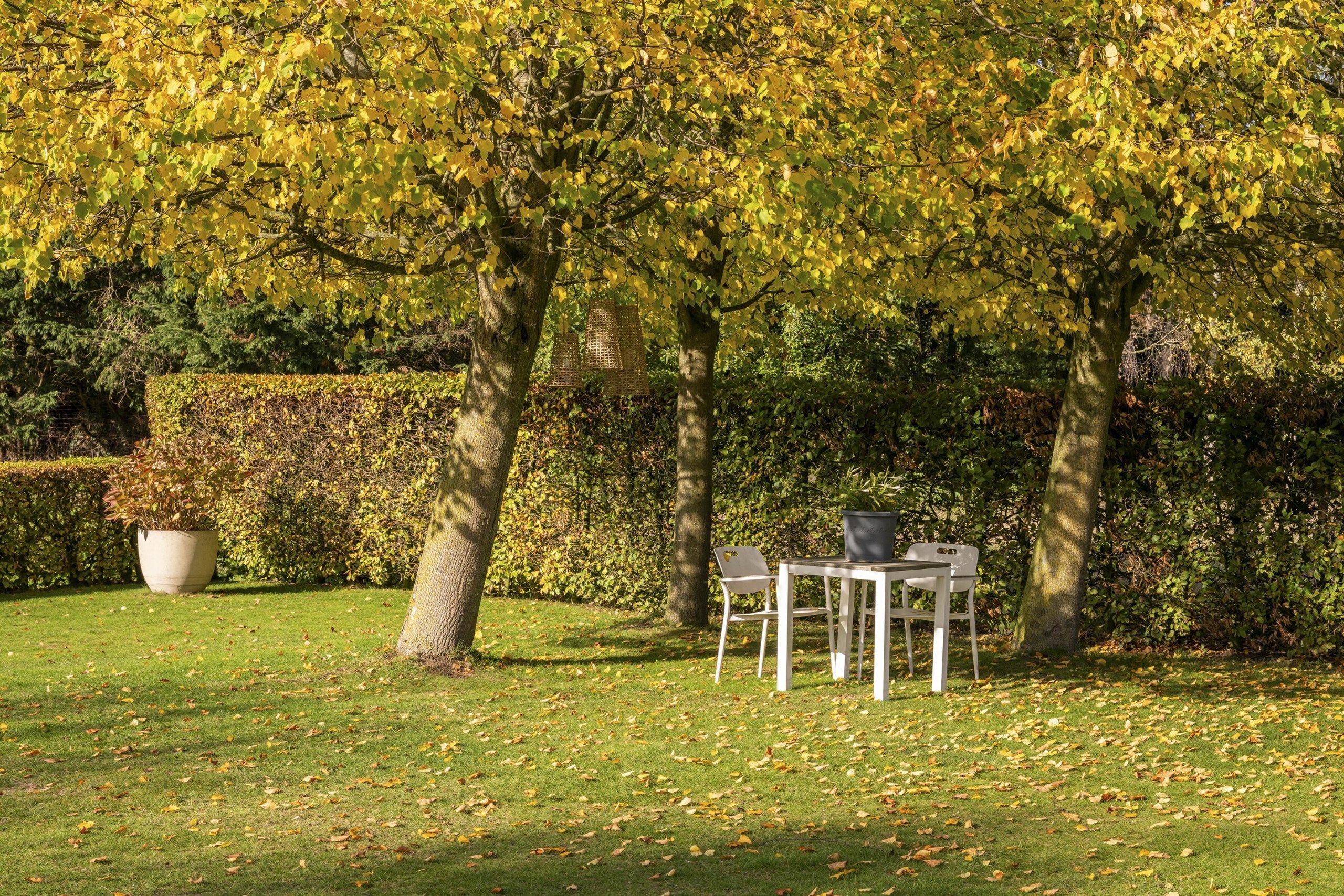 FIRST SALE VR 21/11 (16.00 - 20.00) & ZA 22/11 (9.00 - 18.00) foto 4