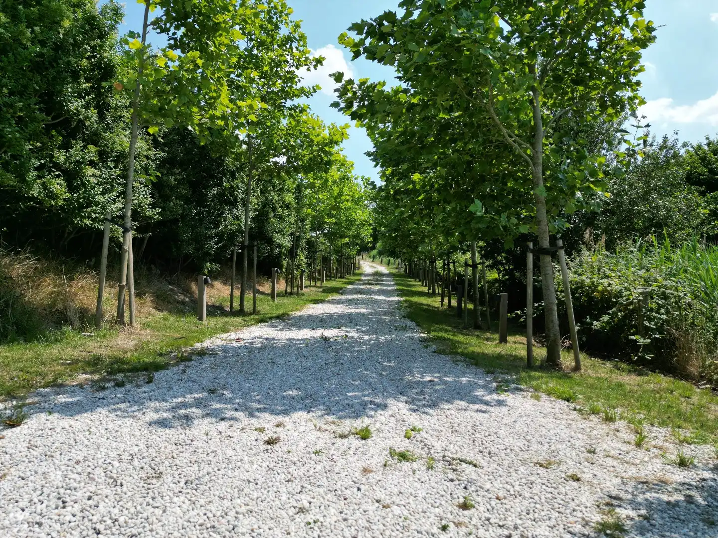 Exclusieve dijkwoning met eigen guesthouse foto 9