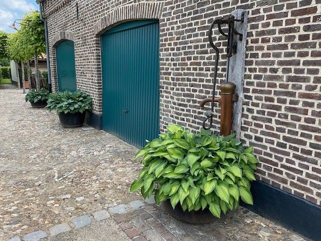 Authentieke langgestrekte hoeve op meer dan 1 hectare – een unieke combinatie van charme, rust en ruimte in het groen van Bocholt foto 39